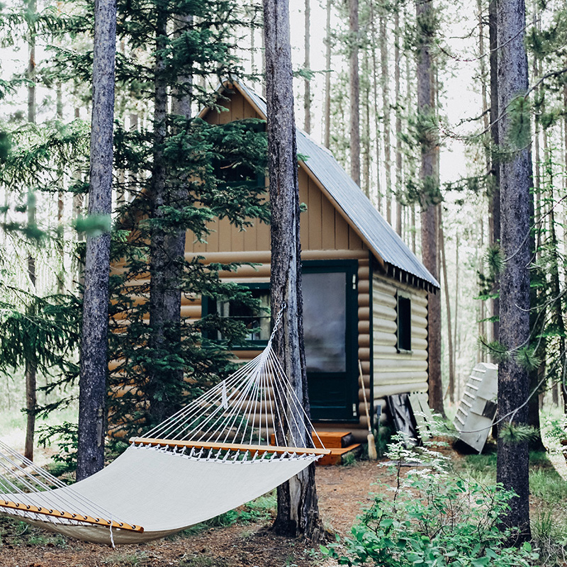 Cabin in the woods.